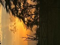 Merci de nous avoir si bien organisé ce voyage d’une vie